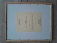 Tablou decorativ pe panza semnat Werener Zapf inramat semnat Nurnberg