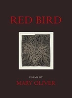 Red Bird foto