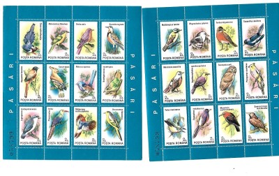 romania pasari mnh foto