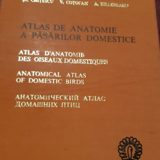 ATLAS DE ANATOMIE A PASARILOR DOMESTICE V. Ghetie