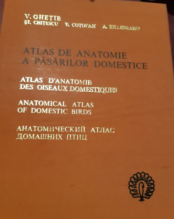 ATLAS DE ANATOMIE A PASARILOR DOMESTICE V. Ghetie