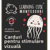 Carduri pentru stimulare vizuala tricolore (6 -12 luni) PlayLearn Toys
