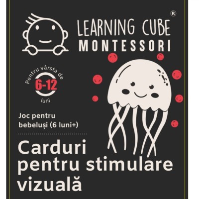 Carduri pentru stimulare vizuala tricolore (6 -12 luni) foto