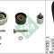INA 530 0619 10 Set curea de distributie
