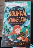 Hotii luminii. Oglinda intunecata - Helena Duggan