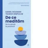 De ce meditam. De la stiinta la practica - Daniel Goleman, Tsoknyi Rinpoche