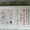 Cheryl Strayed - Delicatele frumuseti ale vietii
