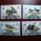 TRISTAN DA CUNHA SERIE FAUNA
