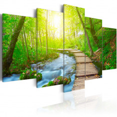 Tablou canvas 5 piese - Sunny Forest - 200x100 cm foto