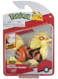 Pokemon Battle Arcanine Pkw0009