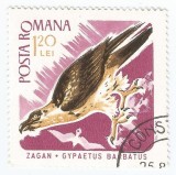 Romania, LP 643/1967, Pasari de prada, eroare, oblit., Stampilat