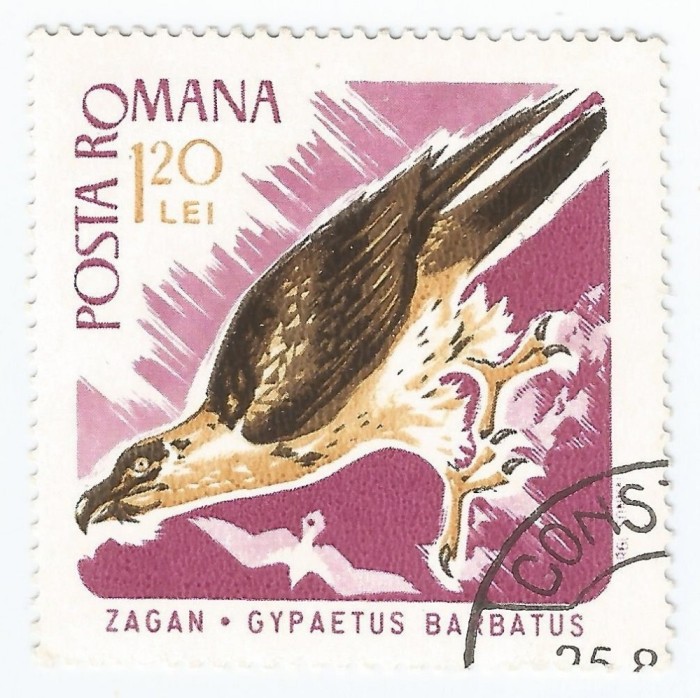 Romania, LP 643/1967, Pasari de prada, eroare, oblit.