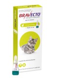 Bravecto Spot-On Pisici 112.5 mg (1.2 - 2.8 kg) &icirc;mpotriva puricilor și