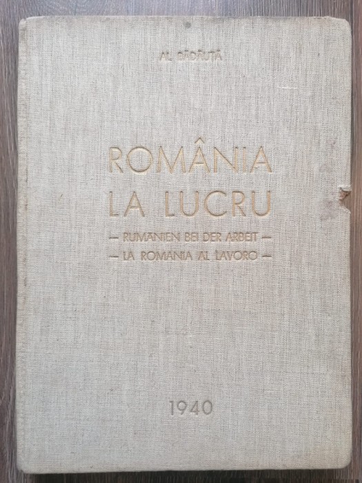 Alexandru Badauta - Romania la lucru