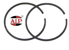 Segment ? 39 mm x 2 mm AIP foto