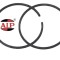 Segment &Oslash; 41mm x 2 mm AIP