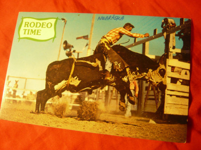 Ilustrata SUA - Rodeo Time cu Taur Brahma foto