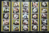 BC200, Djibouti, serie fauna, ursi panda, Nestampilat