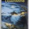 DOWNMIND de VO BLUM , UN ROMAN PSIHO - EXPERIMENTAL , 2018
