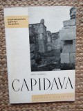 CAPIDAVA-RADU FLORESCU,BUC.1965