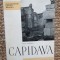 CAPIDAVA-RADU FLORESCU,BUC.1965