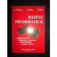 GH. SOFRONIE - BAZELE INFORMATICII