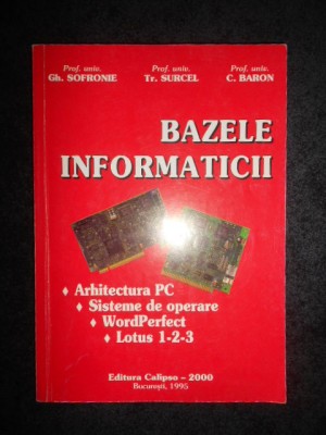 GH. SOFRONIE - BAZELE INFORMATICII foto