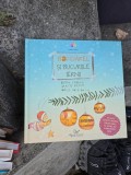 Bondărel și bucuriile iernii - Britta Sabbag, Maite Kelly, Jo&euml;lle Tourlonias