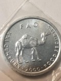 C2 Somalia 10 shillings 2000 FAO unc, Africa