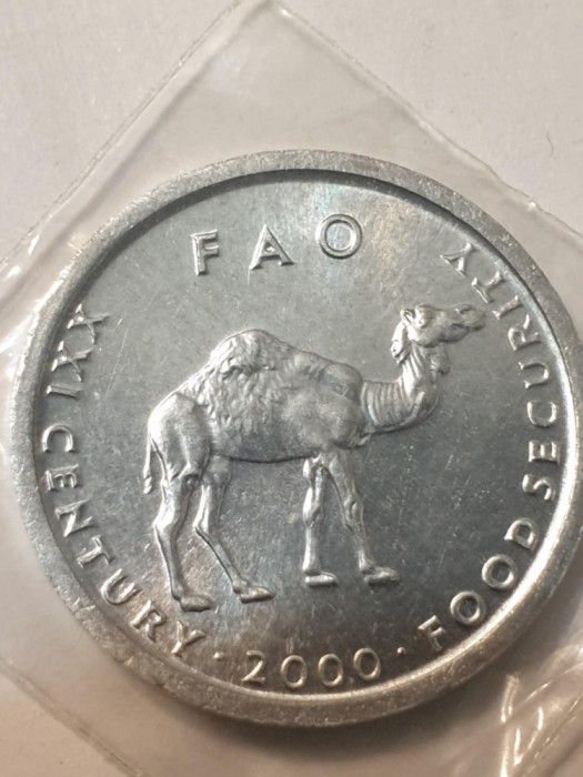 C2 Somalia 10 shillings 2000 FAO unc