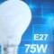 Bec incandescent 75W