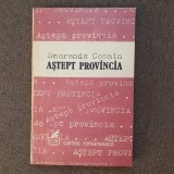 Astept provincia - Smaranda Cosmin
