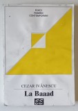 LA BAAAD de CEZAR IVANESCU , 1996 *PREZINTA HALOURI DE APA