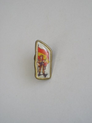 QW9 N2 20 - insigna - militar - soldat cu steagul Spaniei foto