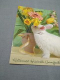 Cumpara ieftin CARTE POSTALA FELICITARE PASTI CIRCULATA