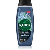 Radox Feel Energised Gel de duș pentru bărbați 2 in 1 450 ml