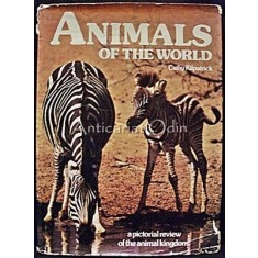Animals Of The World - Cathy Kilpatrick