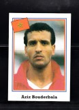 B10 - Sticker fotbal - Campionatul mondial USA - 1994 - nr 387