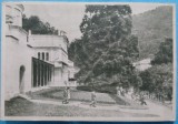 Carte Postala, Baile Herculane, In parc, 1951