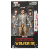 Figurina Headpool cu ​​figurina Marvels Logan 15 cm