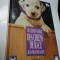 LE GUIDE D&#039;ACHAT DES CHIENS DE RACE - JEAN-FRANCOIS MARTY