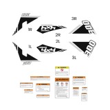 Stickere Linhai 300 Dragonfly set complet rezistent UV