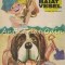 Un Baiat Vesel - Virgiliu Ene - Ilustratii: Puiu Manu