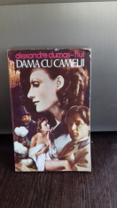 DAMA CU CAMELII - ALEXANDRE DUMAS - FIUL foto