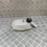 Vas de expansiune NISSAN JUKE F16 2023 OEM: 217102572R,21711-00Q0C 25583174