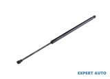 Amortizor gaz ridicare hayon portbagaj BMW X5 (1999-2006) [E53] #1