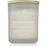 DW Home Charming Farmhouse Lavender Leaf lum&acirc;nare parfumată 107 g