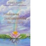 Vindecarea sentimentelor ... din inima ta - Karol K. Truman