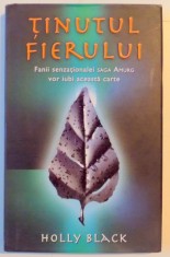 TINUTUL FIERULUI , UN BASM MODERN de HOLLY BLACK , 2010 foto
