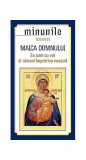 Minunile icoanei Maica Domnului - Paperback brosat - *** - Sophia